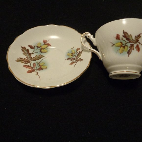 ACORNS & LEAFS ENGLISH BONE CHINA CUP & SAUCER - Picture 4 of 6
